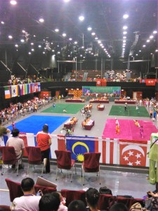 Международные соревнования по Ушу в Гонконге, 2014